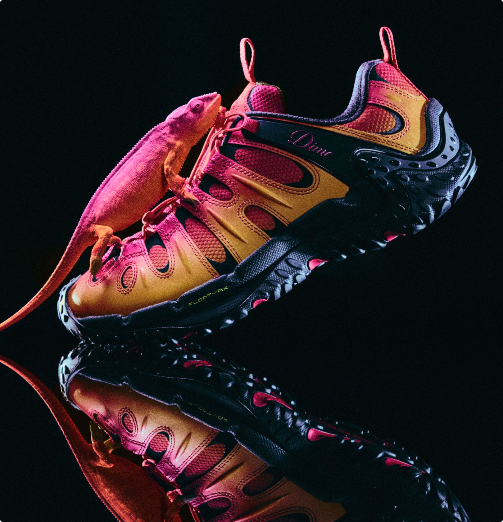 Un camaleón que combina con el color de las coloridas botas de senderismo Merrell Dime.